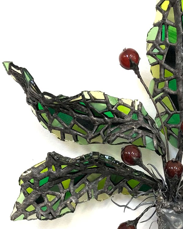 Mandragora_web