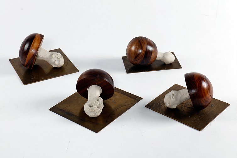 Lex-Shute_Mushroom-Cult-(group),-2018.-Clay,-walnut,-brass,-dimensions-variable_web